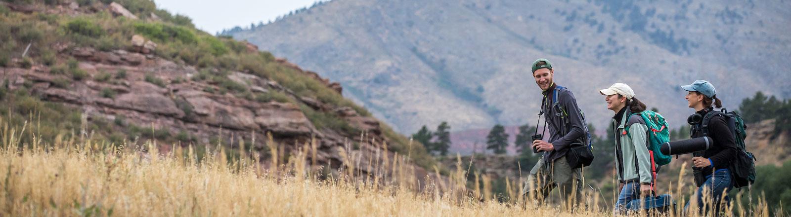 Researchers out in the field and rocky mountains studying native birds